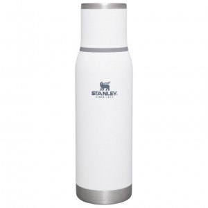 Stanley Adventure To-Go Bottle | 25 OZ Polar | XZN481903