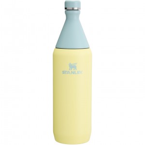 Stanley All Day Slim Bottle | 34 OZ Pomelo | LHY217530