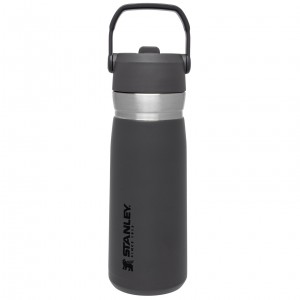 Stanley Go Flip Straw Water Bottle | 22 OZ | Insulated Bottle Charcoal | NRM014958