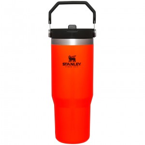 Stanley Hunt + Fish IceFlow™ Flip Straw Tumbler | 30 OZ Blaze Orange | JHX126450