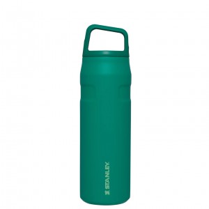 Stanley IceFlow™ Bottle with Cap and Carry+ Lid | 24 OZ Alpine | MZW935842