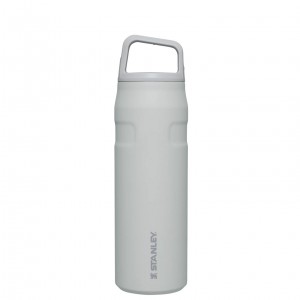 Stanley IceFlow™ Bottle with Cap and Carry+ Lid | 24 OZ Fog Glimmer | QJT852401