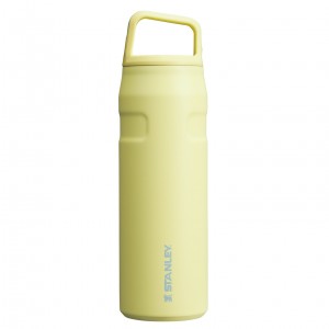 Stanley IceFlow™ Bottle with Cap and Carry+ Lid | 24 OZ Pomelo | OFS157689