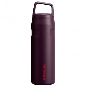 Stanley IceFlow™ Bottle with Cap and Carry+ Lid | 24 OZ Plum | KCQ625194