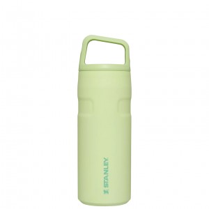 Stanley IceFlow™ Bottle with Cap and Carry+ Lid | 16 OZ Citron | JYE069752