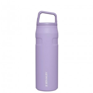 Stanley IceFlow™ Bottle with Cap and Carry+ Lid | 24 OZ Lavender | DHA051879