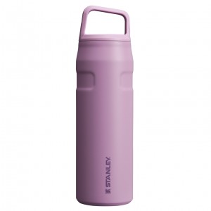 Stanley IceFlow™ Bottle with Cap and Carry+ Lid | 24 OZ Lilac | YKB871345