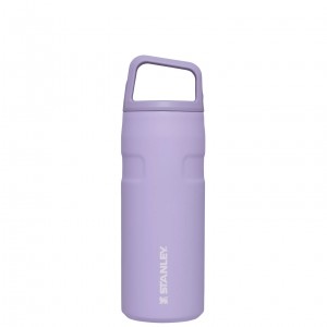 Stanley IceFlow™ Bottle with Cap and Carry+ Lid | 16 OZ Lavender | EZH496758