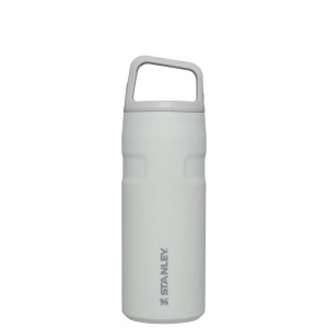 Stanley IceFlow™ Bottle with Cap and Carry+ Lid | 16 OZ Fog Glimmer | EAK042965