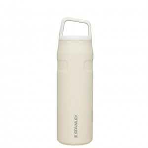 Stanley IceFlow™ Bottle with Cap and Carry+ Lid | 24 OZ Cream Glimmer | YUB169027