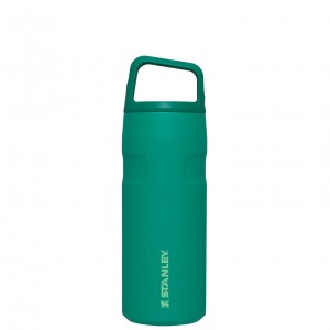 Stanley IceFlow™ Bottle with Cap and Carry+ Lid | 16 OZ Alpine | IPU629514