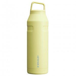 Stanley IceFlow™ Bottle with Cap and Carry+ Lid | 50 OZ Pomelo | CKJ637598