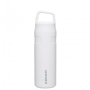 Stanley IceFlow™ Bottle with Cap and Carry+ Lid | 24 OZ Polar | KMV513027