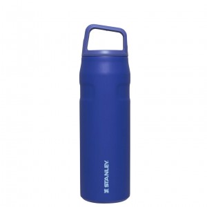 Stanley IceFlow™ Bottle with Cap and Carry+ Lid | 24 OZ Lapis | FWK890234