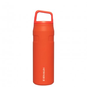 Stanley IceFlow™ Bottle with Cap and Carry+ Lid | 24 OZ Tigerlily | KLV649803