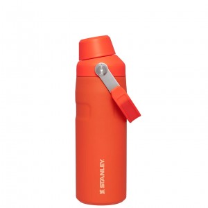 Stanley IceFlow™ Bottle with Fast Flow Lid | 16 OZ Tigerlily | IHV671408