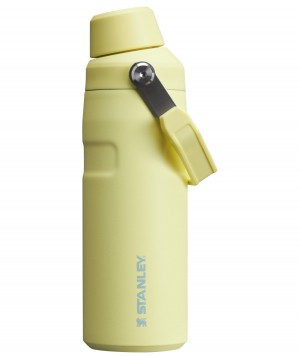 Stanley IceFlow™ Bottle with Fast Flow Lid | 16 OZ Pomelo | PUV580469
