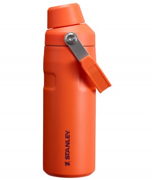 Stanley IceFlow™ Bottle with Fast Flow Lid | 16 OZ Tigerlily Plum | VQS487251