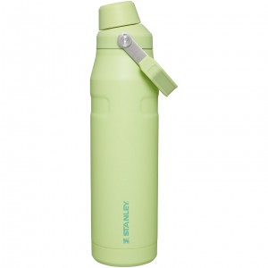 Stanley IceFlow Insulated Bottle with Fast Flow Lid | 36 OZ Citron | RFX845792