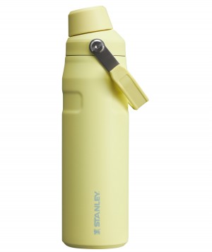 Stanley IceFlow Insulated Bottle with Fast Flow Lid | 24 OZ Pomelo | PSD178932