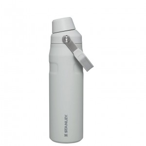 Stanley IceFlow Insulated Bottle with Fast Flow Lid | 24 OZ Fog Glimmer | OTC260587
