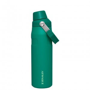 Stanley IceFlow Insulated Bottle with Fast Flow Lid | 24 OZ Alpine | SGE348079