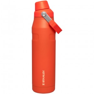 Stanley IceFlow Insulated Bottle with Fast Flow Lid | 36 OZ Tigerlily | WXP415860