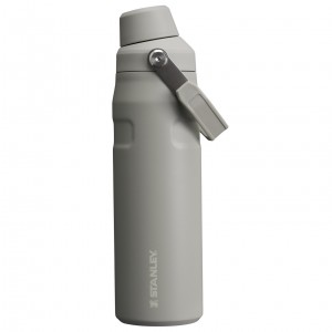 Stanley IceFlow Insulated Bottle with Fast Flow Lid | 24 OZ Ash | DTB629318