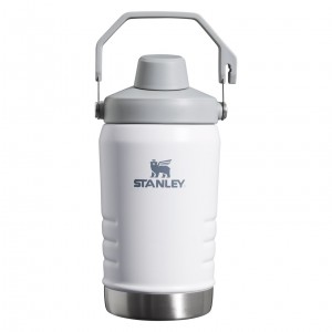 Stanley IceFlow™ Jug with Fast Flow Lid | 40 OZ Polar | LWC390726