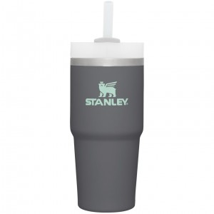 Stanley Quencher H2.0 Travel Tumbler | 14 OZ Charcoal | FID483027