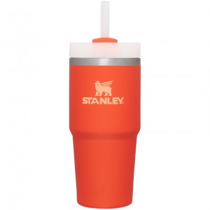 Stanley Quencher H2.0 Travel Tumbler | 14 OZ Tigerlily | DIX640372