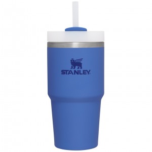 Stanley Quencher H2.0 Travel Tumbler | 20 OZ Iris | WVL697241
