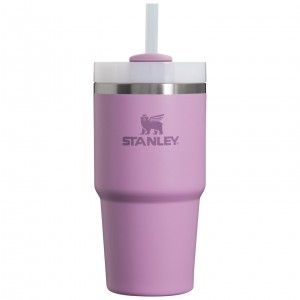 Stanley Quencher H2.0 Travel Tumbler | 20 OZ Lilac | DSR631274