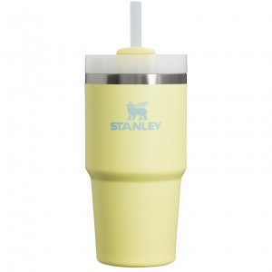 Stanley Quencher H2.0 Travel Tumbler | 20 OZ Pomelo | YHZ751420