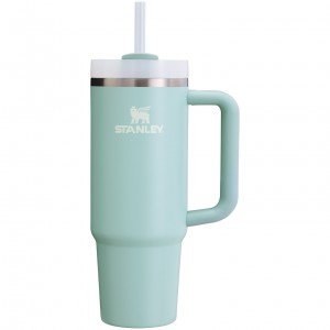 Stanley Quencher H2.0 Travel Tumbler | 30 OZ Seafoam | YFJ891245