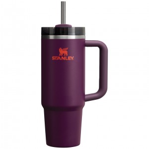 Stanley Quencher H2.0 Travel Tumbler | 30 OZ Plum | YPI102983