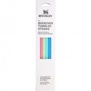 Stanley Replacement Straw 4 Pack | 30 oz Quencher Tumbler Summer | IMU286435