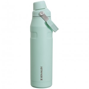 Stanley The Clean Slate IceFlow™ Bottle with Fast Flow Lid | 24 OZ Mint | BNA814352