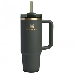 Stanley The Fall Refresh Quencher H2.O FlowState™ Tumbler I 30 OZ - Stanley Cr Cypress | IEO534026