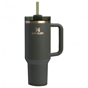 Stanley The Fall Refresh Quencher H2.O FlowState™ Tumbler I 40 OZ - Stanley Cr Cypress | NAS741965
