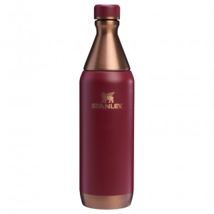 Stanley The Holiday All Day Slim Bottle | 20 OZ Gilded Pomegranate | AIU693102