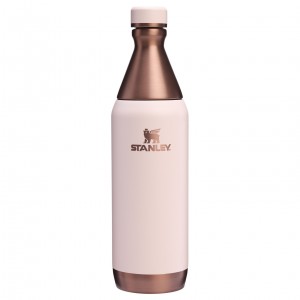 Stanley The Holiday All Day Slim Bottle | 20 OZ Gilded Sugar | OBG418906