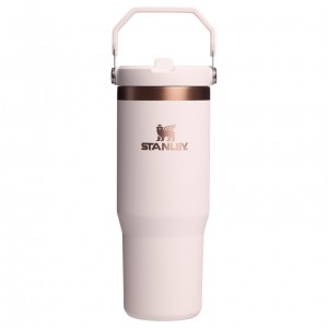 Stanley The Holiday IceFlow Flip Straw Tumbler | 30 OZ Gilded Sugar | SZG179852