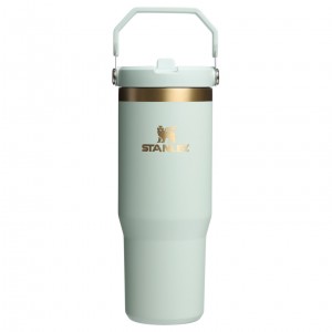Stanley The Holiday IceFlow Flip Straw Tumbler | 30 OZ Gilded Celadon | CQT276359