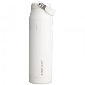 Stanley The IceFlow™ Bottle with Flip Straw Lid | 36 oz Frost | ROV176042