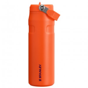 Stanley The IceFlow™ Bottle with Flip Straw Lid | 24 OZ Tigerlily Plum | UCW271460