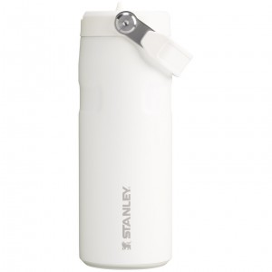 Stanley The IceFlow™ Bottle with Flip Straw Lid | 16 oz Frost | ZLW524819
