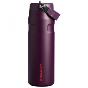Stanley The IceFlow™ Bottle with Flip Straw Lid | 24 OZ Plum | FSN387519