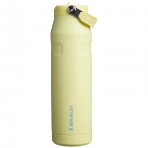 Stanley The IceFlow™ Bottle with Flip Straw Lid | 36 oz Pomelo | VWK637291