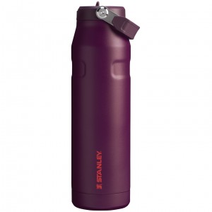 Stanley The IceFlow™ Bottle with Flip Straw Lid | 36 oz Plum | JFI384672